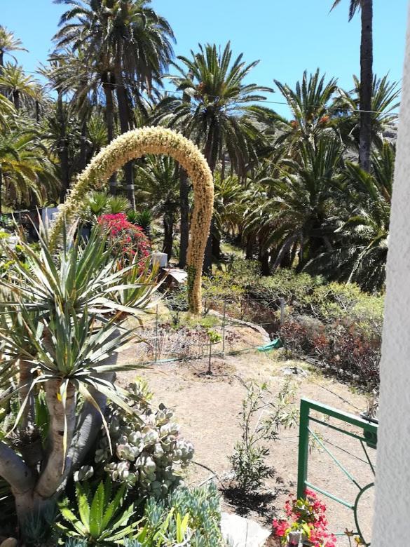 Casa Majores Vallehermoso Dış mekan fotoğraf